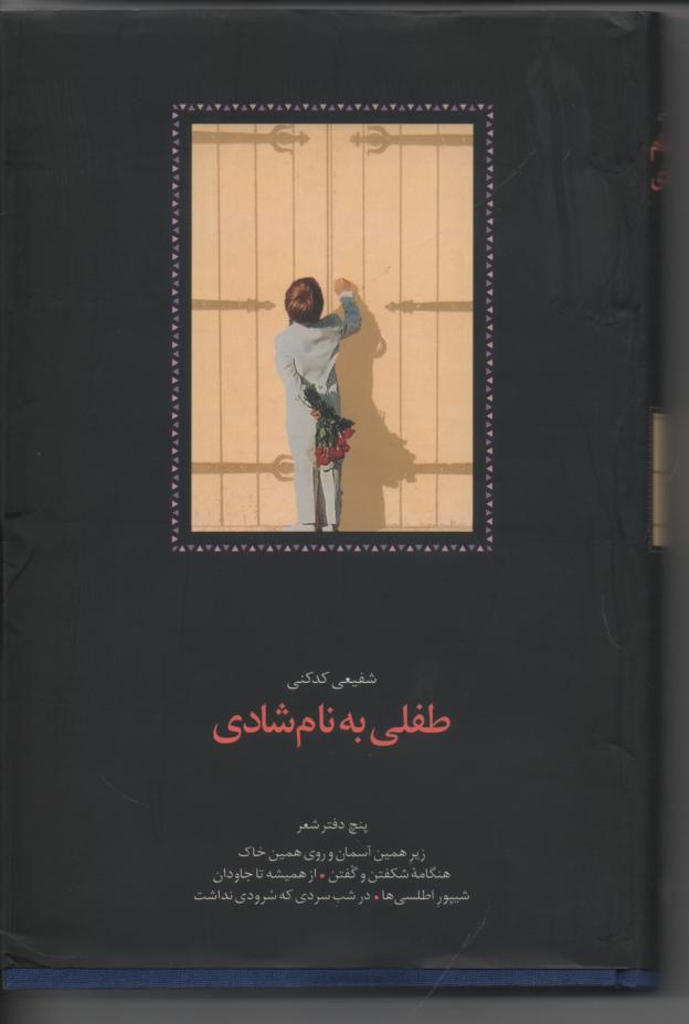طفلی به نام شادی/ مجموعه پنج دفتر شعر
