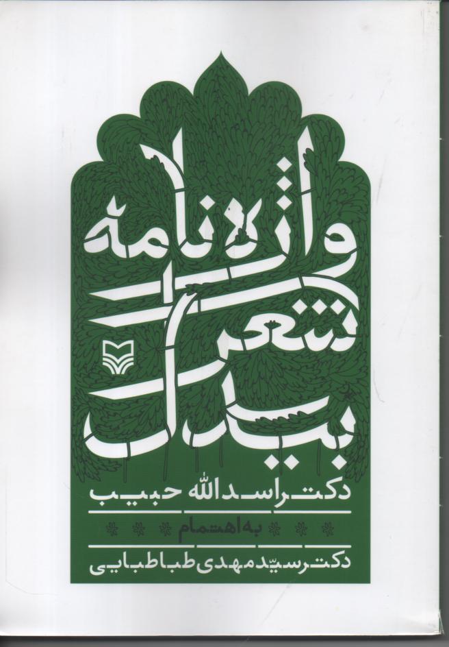 واژه نامه های شعر بیدل